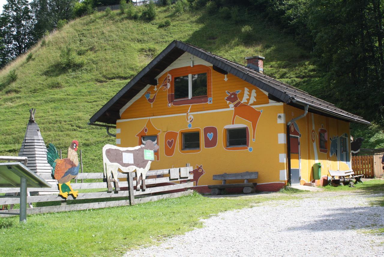 Muehlbach Alpendomizil II Apartment Muhlbach Am Hochkonig Bagian luar foto